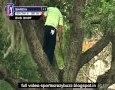 Sergio Garcia takes golf shot from tree: video