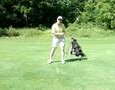 Contact and Spin; #1 Most Popular Golf Teacher on You Tube Shawn Clement